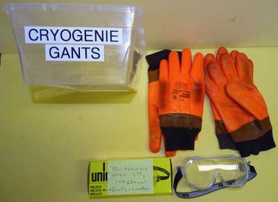 MAINT_2020-01-22_11-31-09 - Gants et lunettes pour la cryogénie MAINT_2020-01-22_11-31-09 - Gants et lunettes pour la cryogénie