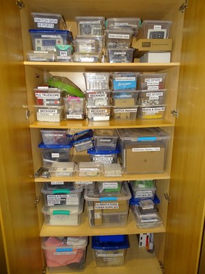 IMG 2025 12 02 15 33 17