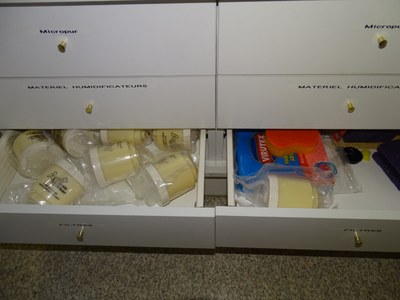 IMG 2025 04 04 11 14 53