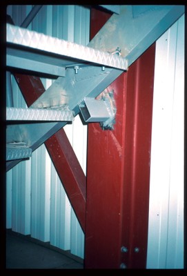 Bat4_15.jpg