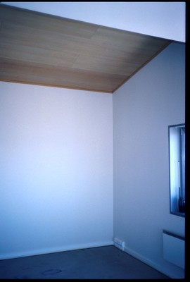 Bat5_029.jpg