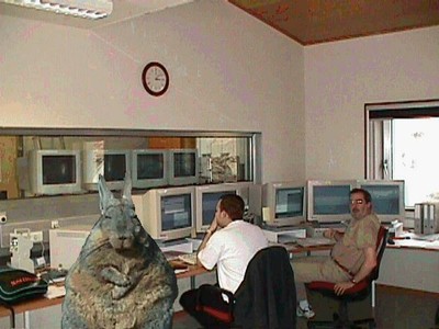 udnaef.jpg