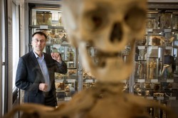 On the conservation and display of human remains: "Museums Confront the Skeletons in Their Closets"