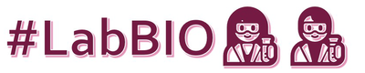 Logo LabBIO
