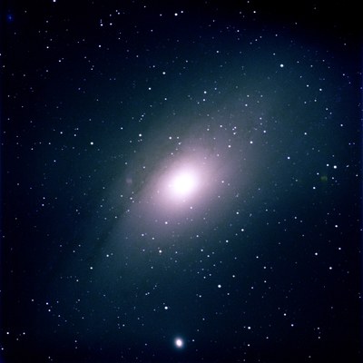 M31